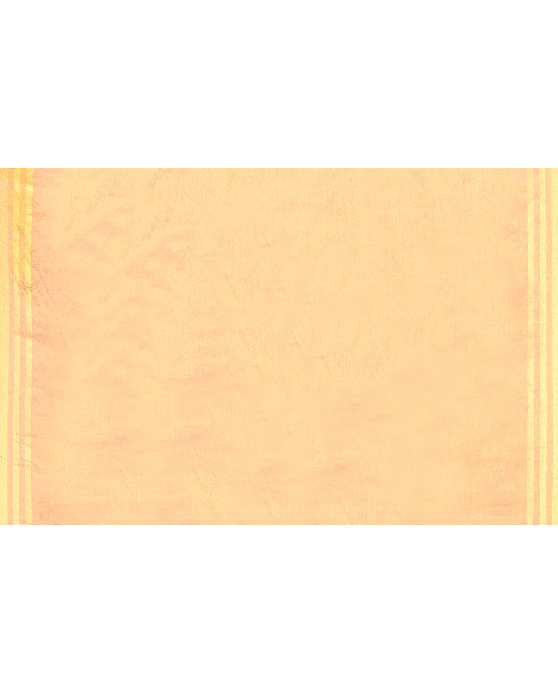 Women Tissue Beige Woven  Saree