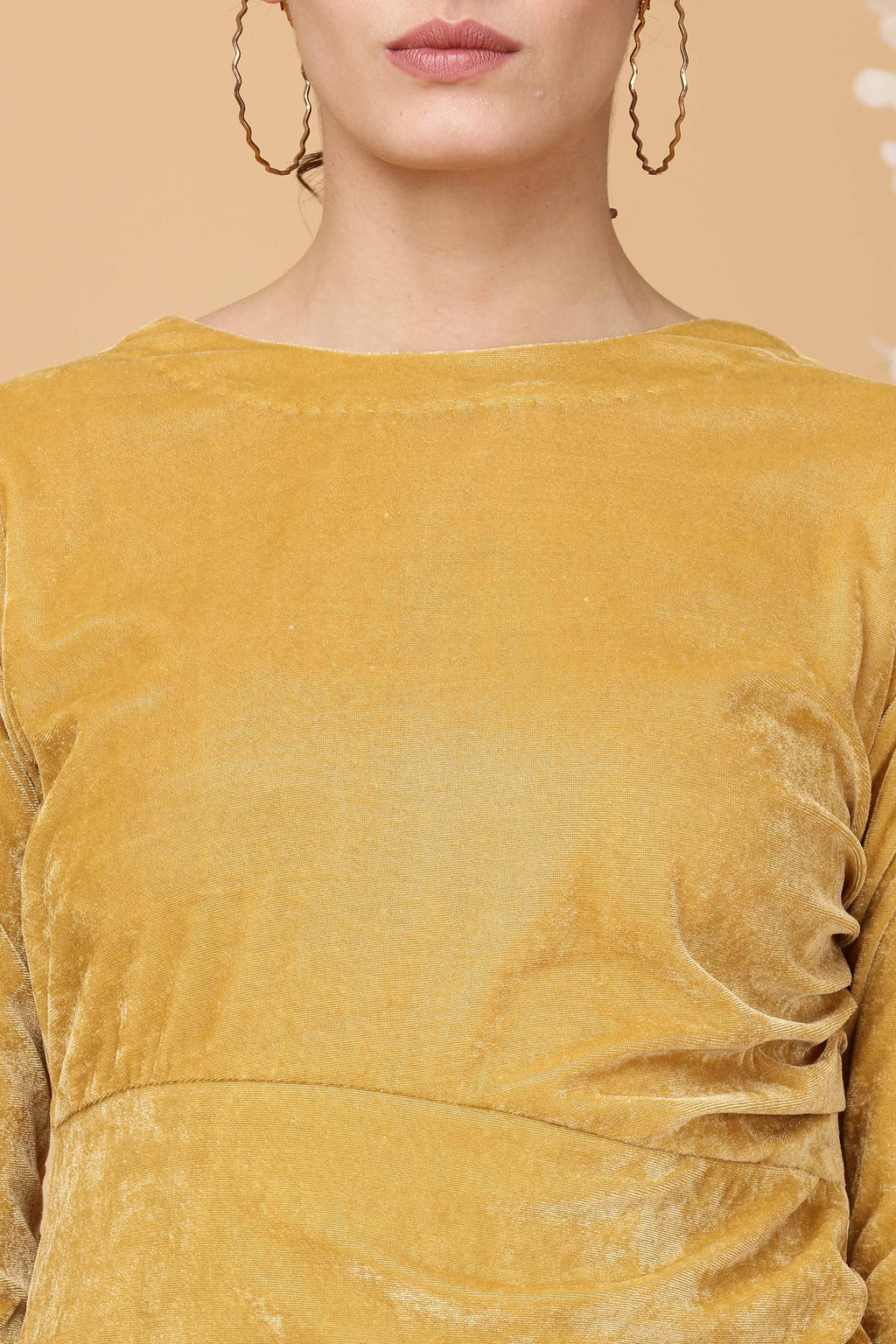 Women Dark Beige Velvet Dress