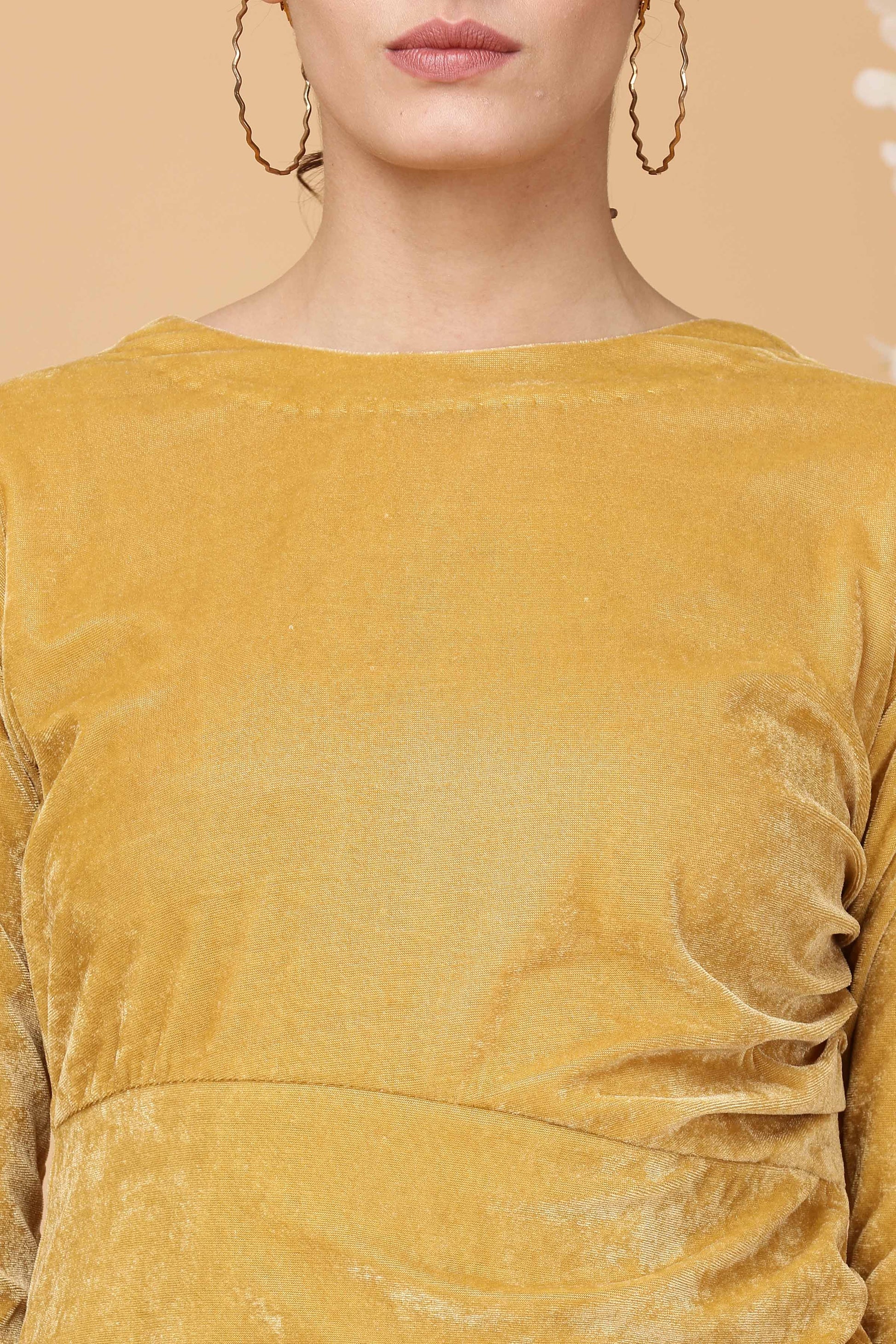 Women Dark Beige Velvet Dress