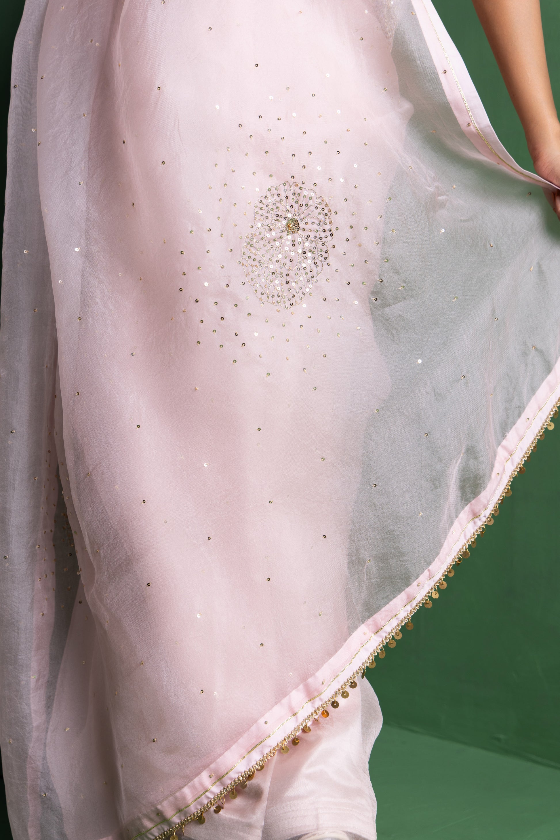 Baby Pink Peony Organza Saree